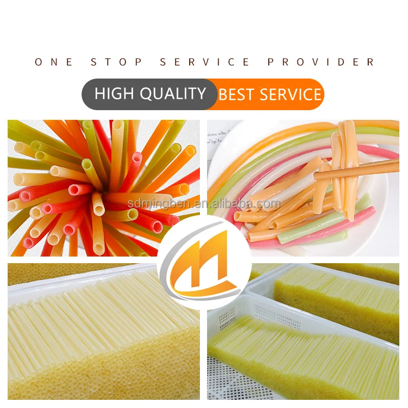 High Speed Extruder Machine to Make Plastic Food Grade Reusable Rotary Thread Straw PLA PP Hard Straight Tubularis Two-Colors