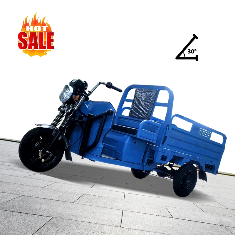 2024 New Design Cargo three wheels electric tricycles with strong power