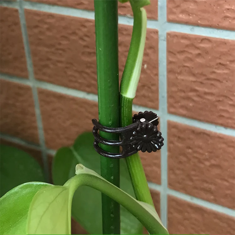 Hot sell Plant Holding  Orchid Clips Plastic daisy clip Support Clip For Nursery Plant Support Flower Vine grow Verticality