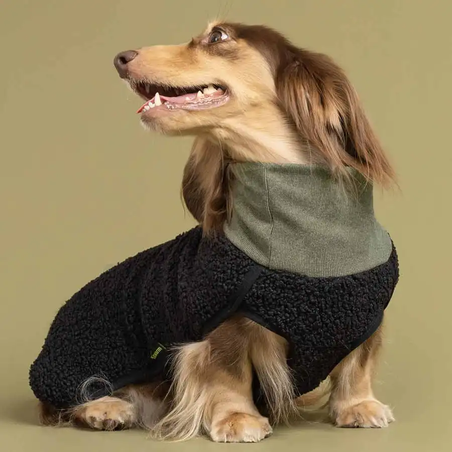 Qiqu Pet supplies custom New designer luxury Sherpa Turtleneck Dog Sweater pet Clothing For Dogs Dog Jersey for dachshunds