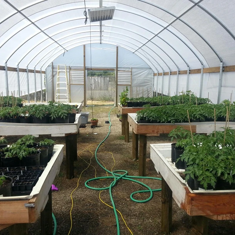 large agricultural blackout greenhouse with automated light deprivation system for sale