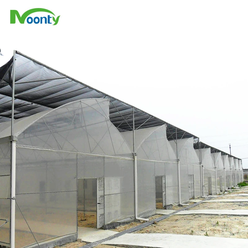 Agricultural Commercial Tropical Greenhouse For Vegetable/Crops/Cucumber/Tomato/Cherry/Pepper Growing