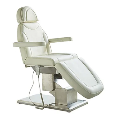 Portable Massage Table Professional Folding Aesthetic Spa Tattoo Stretchers Couch Beauty Salon Foldable Massage Bed