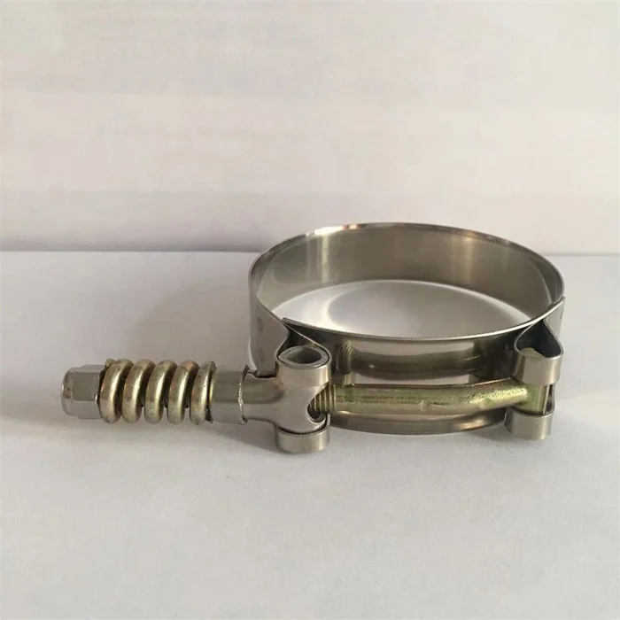 19mm Bandwidth Spring Heavy Duty T Bolt 304 spring hose clamp