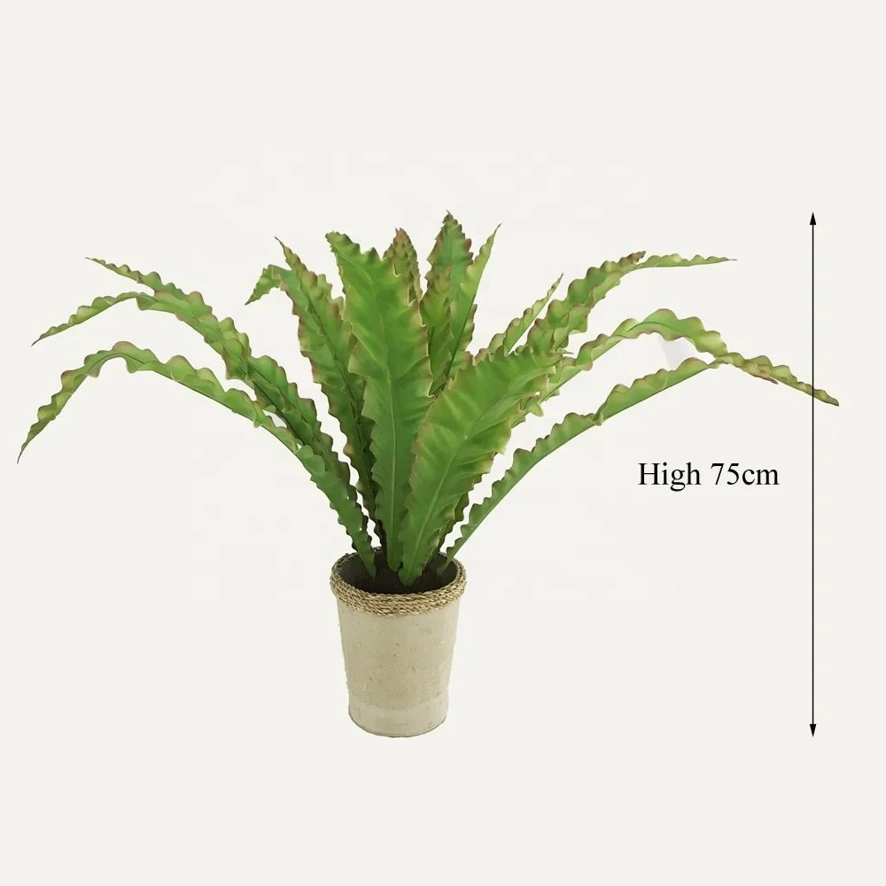 High Quality Plastic Asplenium Osaka Leaf in Pot For Home Decor Artificial Bonsai Buxus Table Greenery Silk Bird Nest  Fern