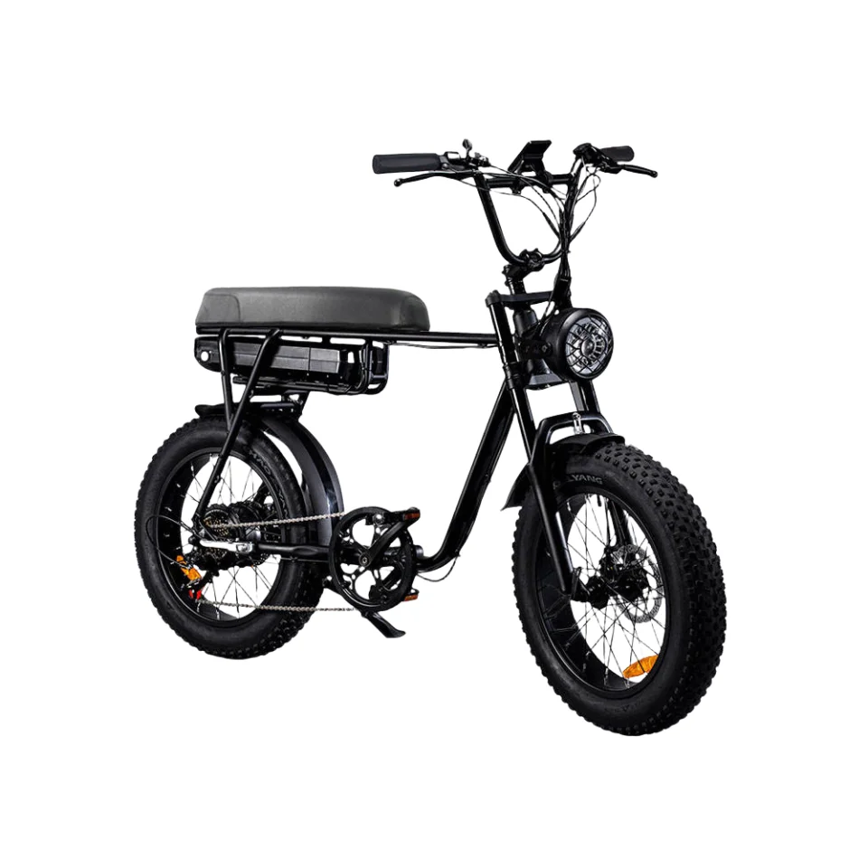 Hot Selling Quick Shipping Electric Bicycle Ebike 48V 1000W  20inch Electric Fat Tire Mountain Bike