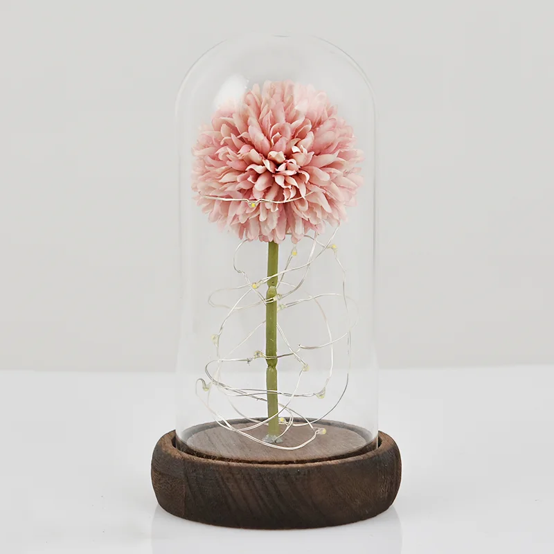 Amazon Hot Selling Dandelion Globule Rose in Glass with Led Light