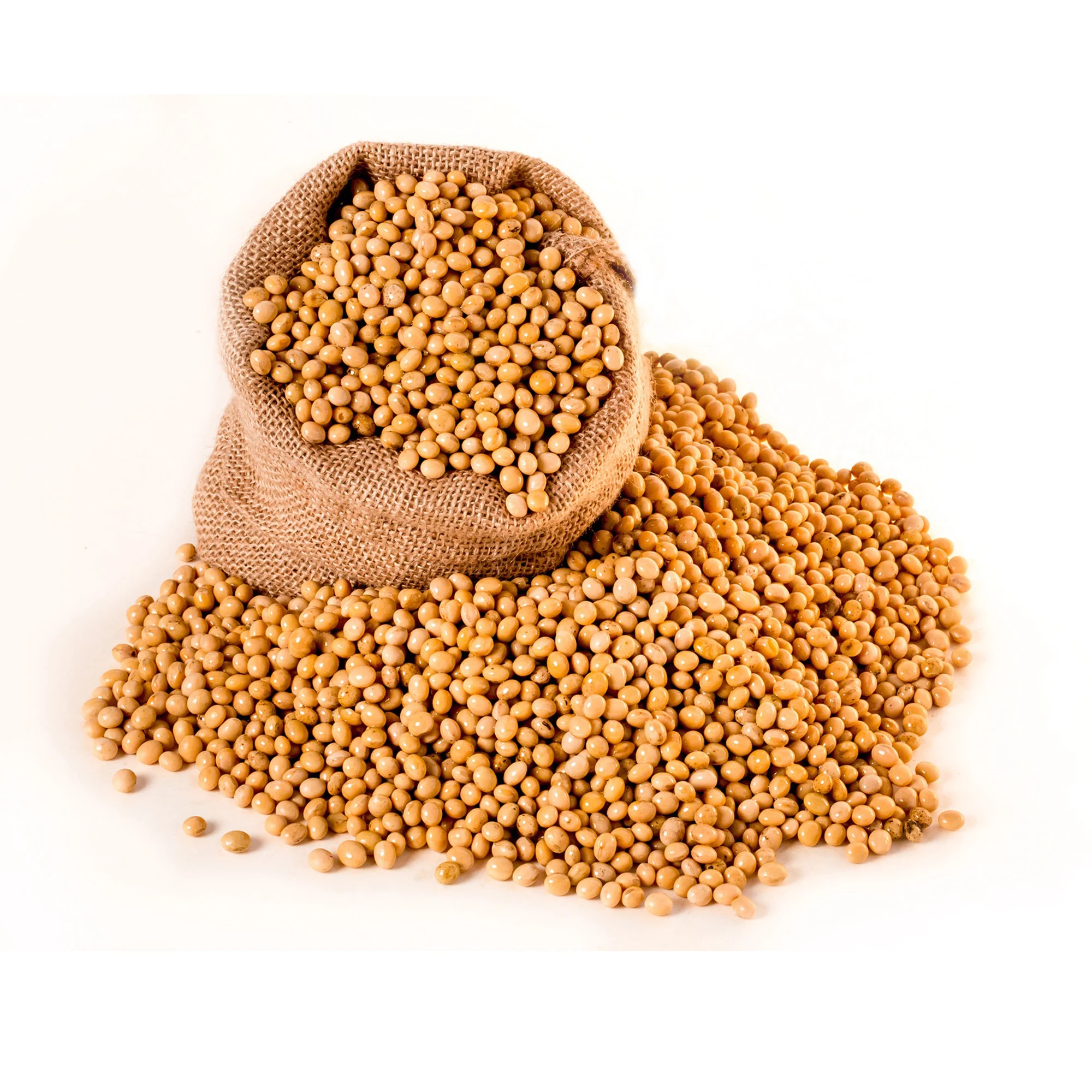 
Russian High Quality Non GMO Yellow Soybeans 