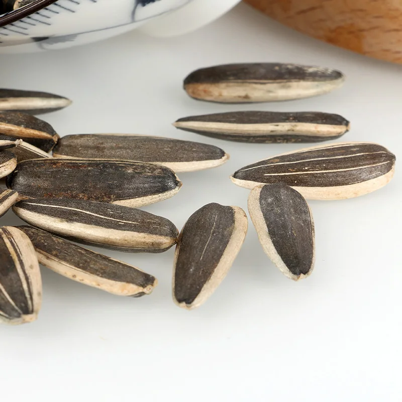 Технические характеристики семян подсолнечника