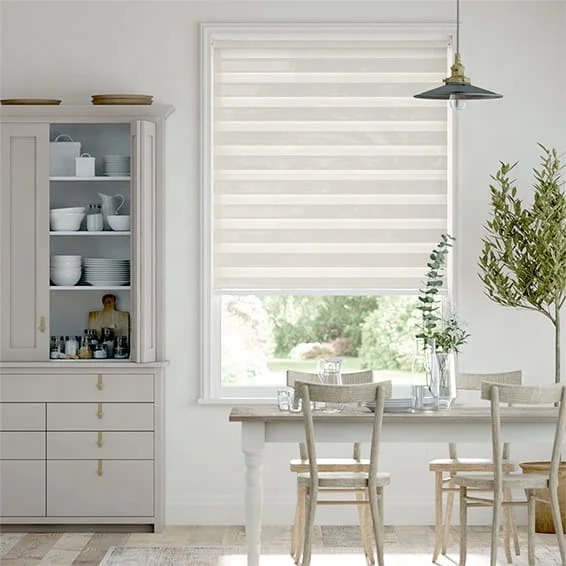 Window Roller Shades Zebra Blinds for Window Modern Dual Layer Sheer or Privacy Light Control for Home Bedroom