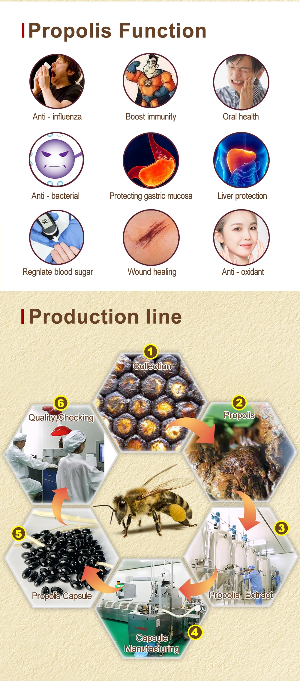 BEEHALL, антиоксидантная пчела, прополис, Cica, прополис, Органическая пчела, прополис в капсулах