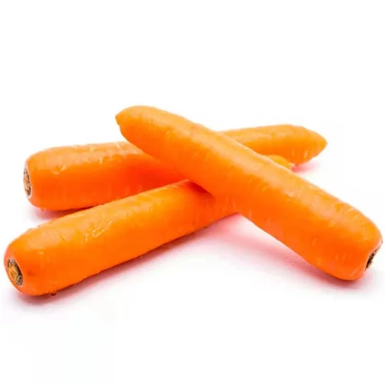 
Everyone knows fresh refreshing and delicious 100% natural top quality organic carrot 