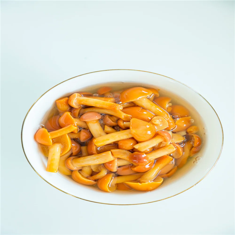 
 Wholesale Hot Sale Preserved Vegetable  High Grade Quality preserved Mushroom canned mushrooms nameko  