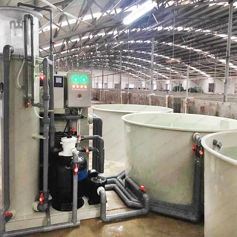 CATAQUA Ras System Recirculating Aquaculture Fish Farming Equipment  Aquaculture Water Treatment