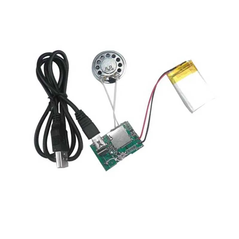 Заводские пользовательские USB записываемые звуковые модели для говорящих игрушек поздравительные открытки музыкальная шкатулка модули диктофона
