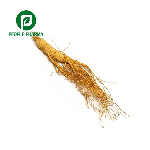 4 года красный женьшень Panax Rootlet сушеные красные волокна