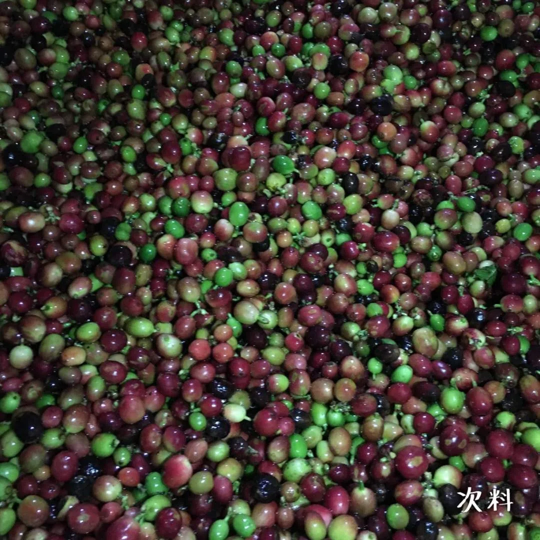 2020 Angelon colour sorters for coffee beans sorting machine with best sorting accuracy