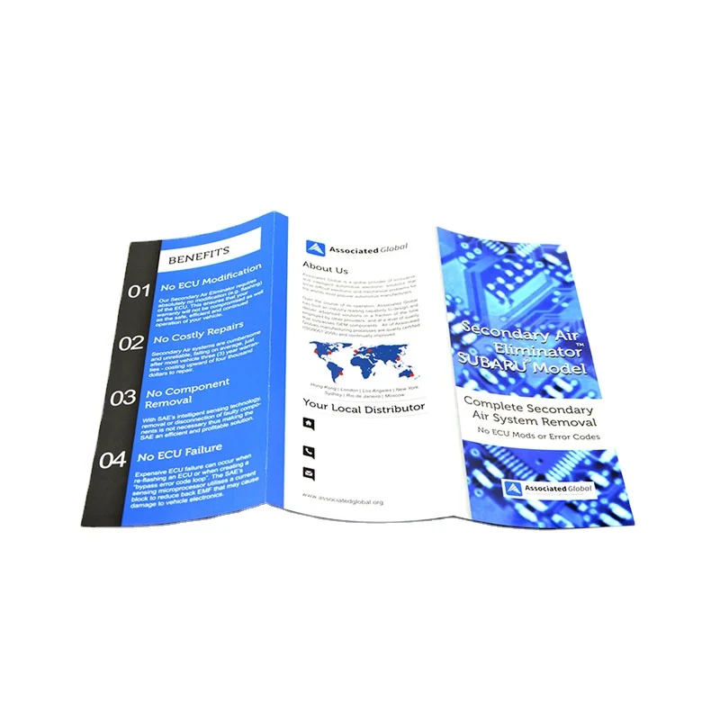 Custom full color offset printed digital paper poster printing custom brochure printing