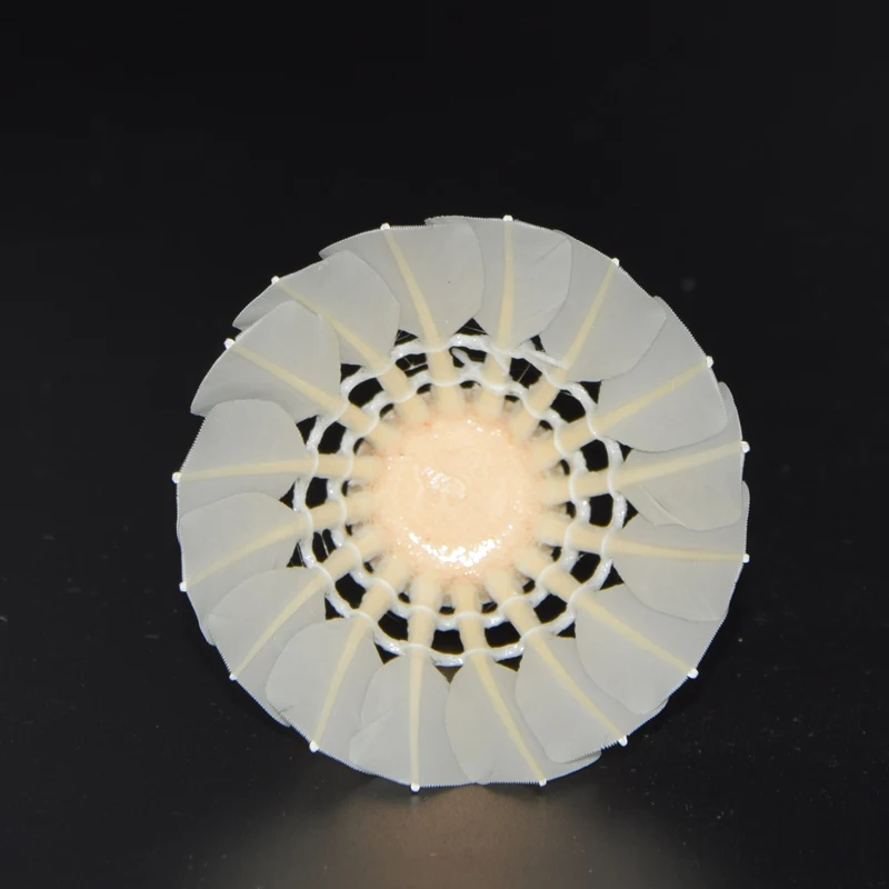 China Manufacturer Wholesale Training Tournament Produce Badminton Print Sample Wholesale AS09 Training Machine