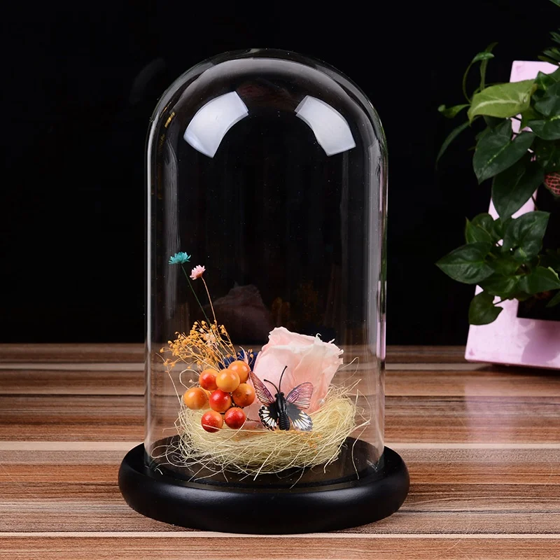Hot selling Custom mini bell jars glass dome with Wooden base