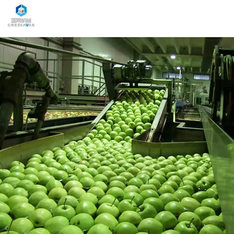 
Apple Juice Production Line Apple Crusher Juicer Machine 2000kg/h Apple Juice Processing Machine 