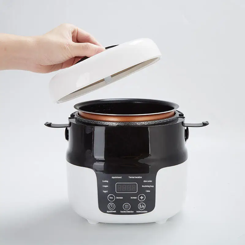 Electric 12V 24V Automatic Rice Cooker Household Plastic Source Car Rice Cooker