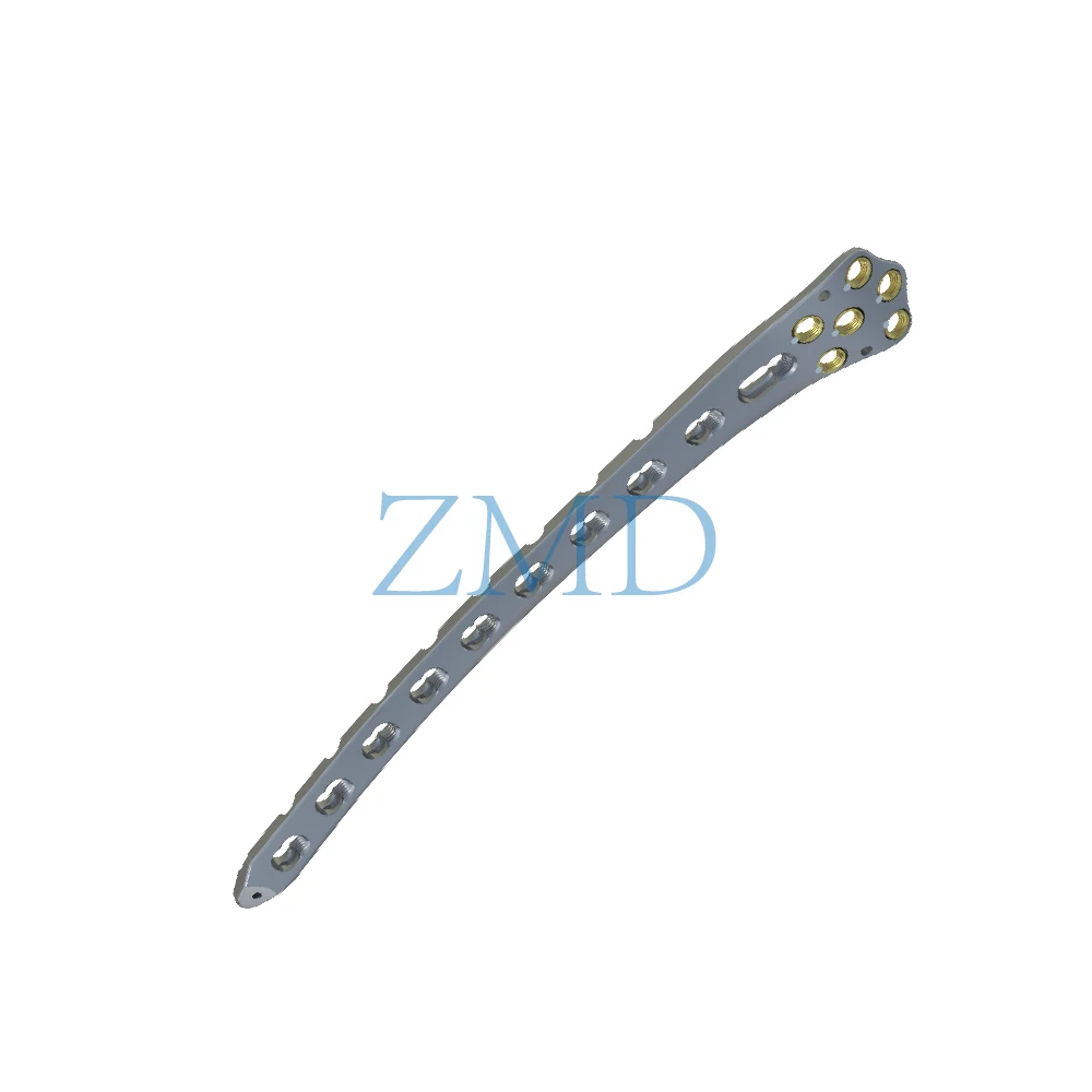 orthopedic implant multi-axial femoral distal locking plate combination holes bone for implant