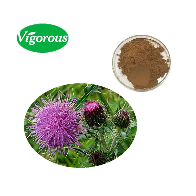 Organic food grade water soluble 80% silymarin milk thistle extract