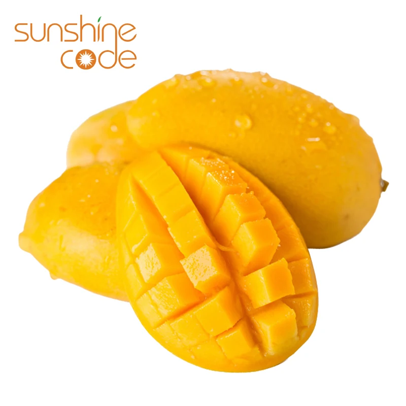 Sunshine Code fresh alphonso mango yellow thai mango indonesian mangoes