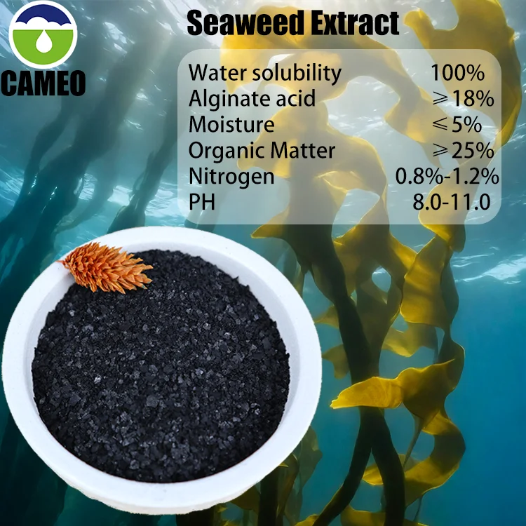 Top Grade 100% Water Soluble Organic Seaweed Fertilizer in Powder Form for Agriculture & Plant Growth Wholesale