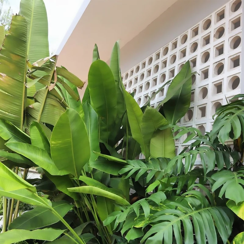 Premium Quality Cement Breeze Block Great Material Cement Tile Concrete Brick Pressing Molds