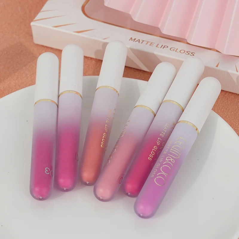 Luxury Matte Long Lasting Rich Pigment Vegan Organic Your Own logo Lip Plumper Tube Lipgloss Set Private Label