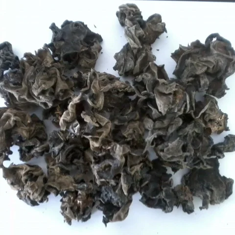 Chinese High Quality Black Edible Tree Fungus Small Real Healthy New Dried Natural Wood Ear Mushrooms
