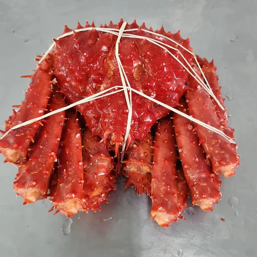 Frozen Boild King Crab Chile Origin New season