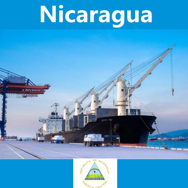 Профессиональные услуги в Никарагуа включая таможенные сборы из Гуанчжоу Шанхая