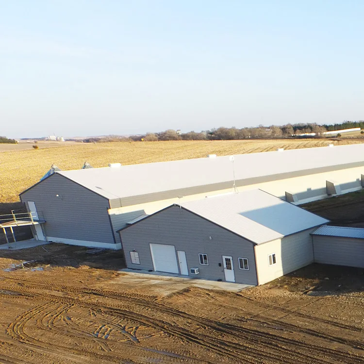 H Beam Steel Structure Poultry Farm Building Shed Chicken House In Pakistan