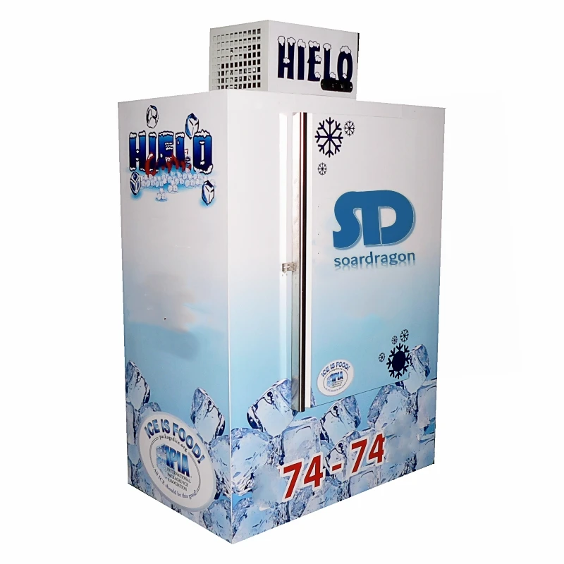 Soardragon factory direct solid door ice bagged gas station ice storage freezer