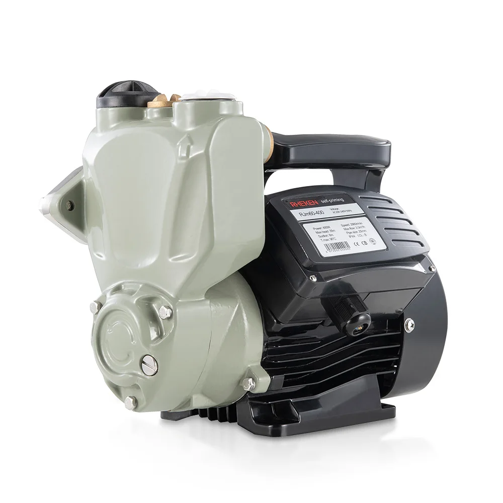 2 hp Electric Single-stage Hot and Cold Household Pressure Deep Well Water Pump