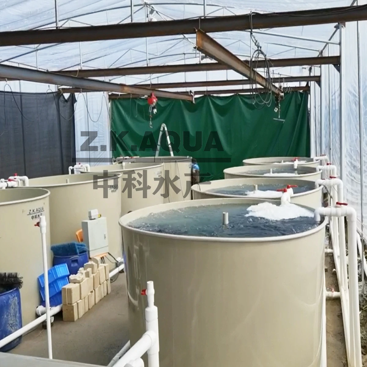 High Quality aquaculture RAS  fish farming system fingerling nursery farm with Quality Assurance