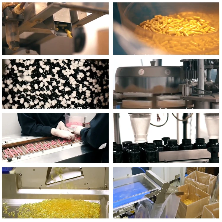 Kaisheng Herbal Supplements OEM Private Label Organic Longjack Tongkat Ali Extract Capsules Tongkat Ali Capsules