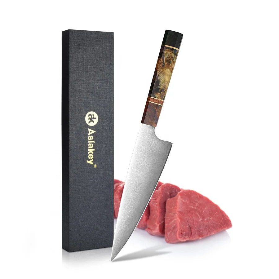 Professional Kitchen Knives Chef knife Damascus Steel Octagonal Stabilized Wood Copper Ring Handle Oil painting Style with Boxes