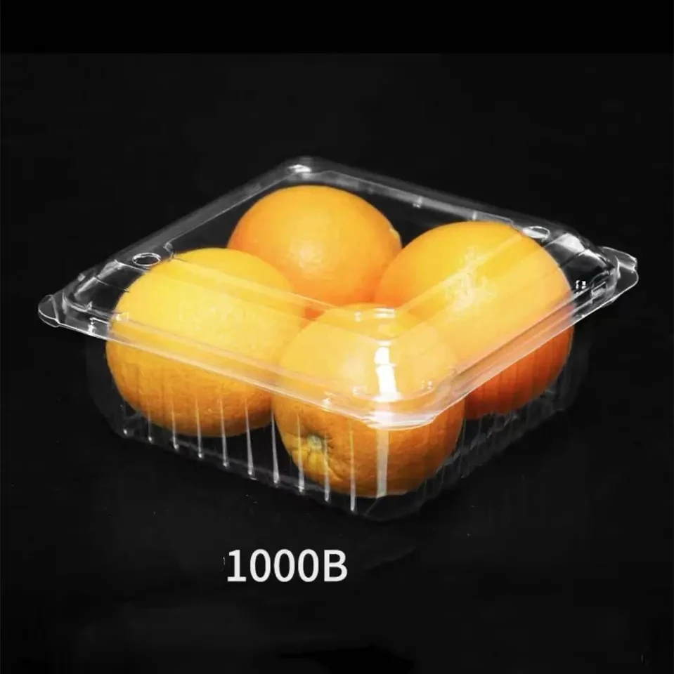 Custom Food Packaging Boxes Food Grade PET Disposable Plastic Fruit Container Salad Boxes With Air Hole