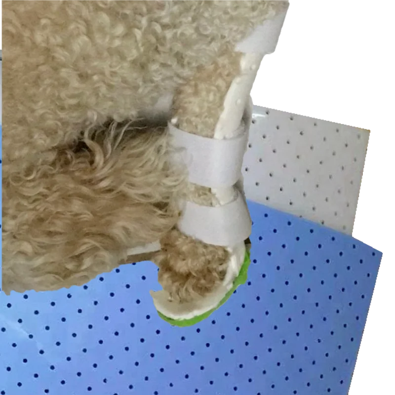 Low Temperature Thermoplastic Splinting Solutions Pet Dog Cat Leg Fracture Rehabilitation Orthopedics Cervical Collar
