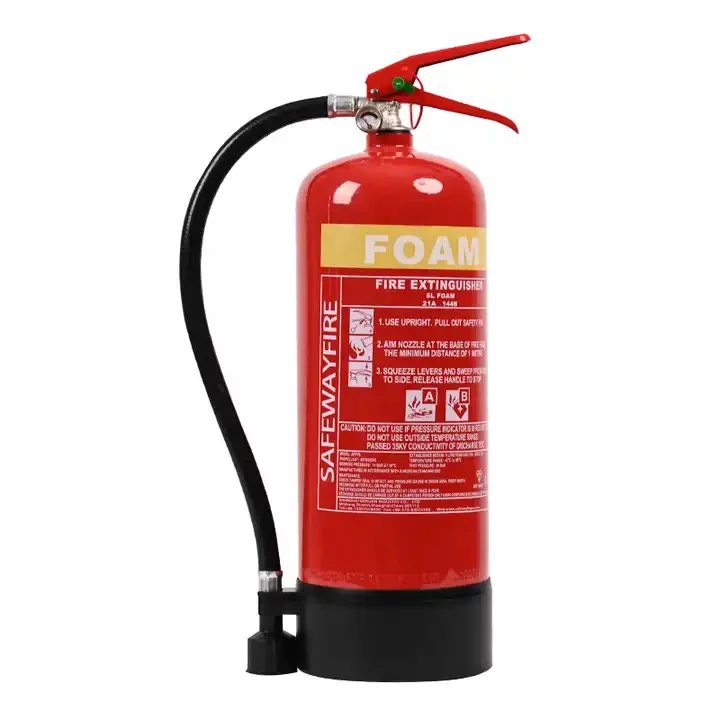 Safewayfire BS EN3/CE/ISO Dry Powder/CO2/Foam/Water Portable Fire Extinguisher