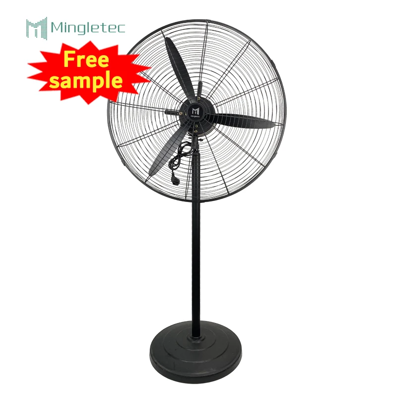 factory wholesale hot seller 220v BLDC copper motor Indoor industrial stand fan