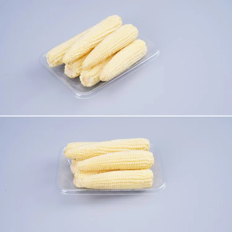 Blister Plastic Disposable Fresh Meat Bean Pepper Fruit Frozen PET PP Needle Mushroom Food Packing Tray