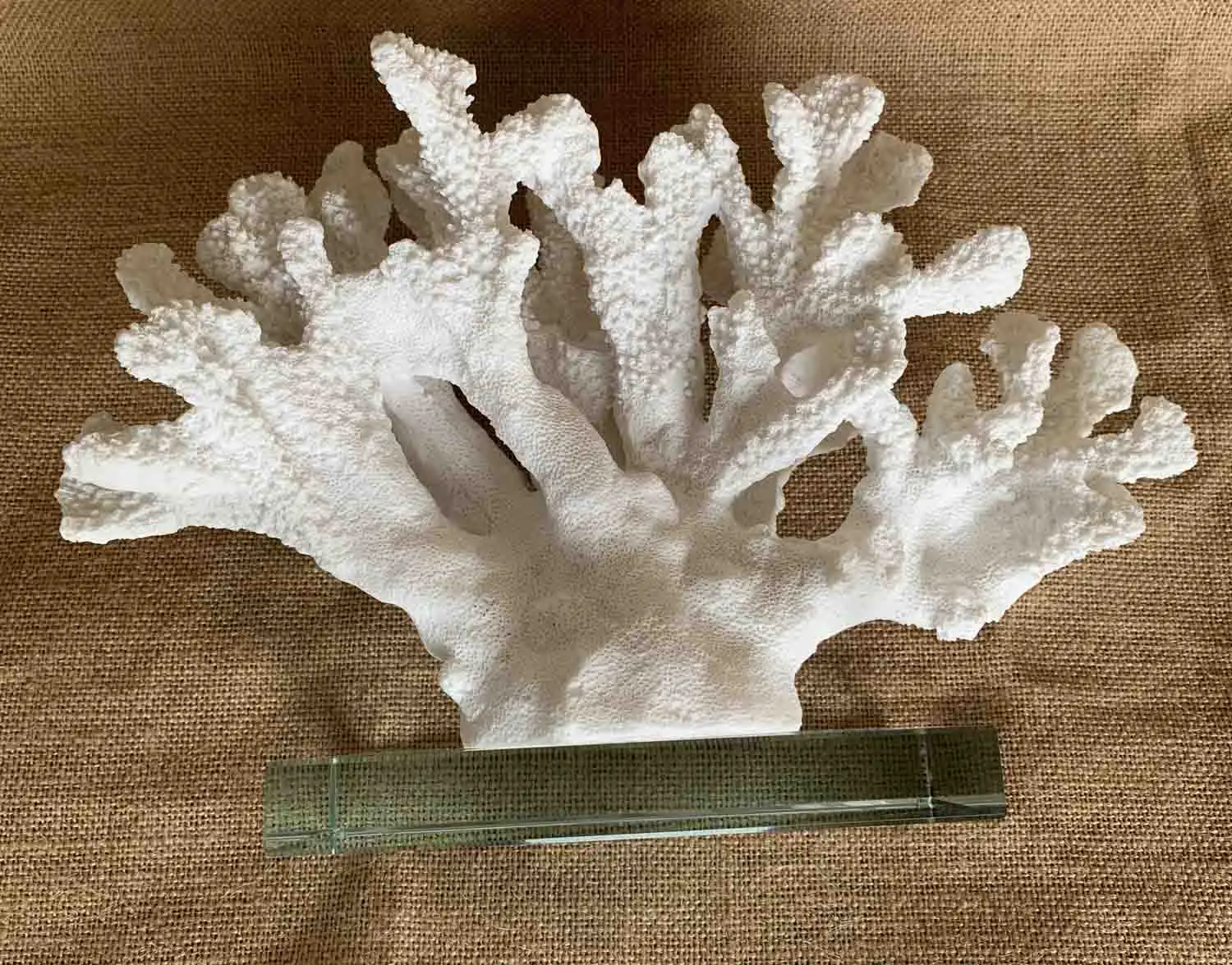 Cream resin Coral Decoration/Wedding Center Beach Coral resin sculpture can be customized