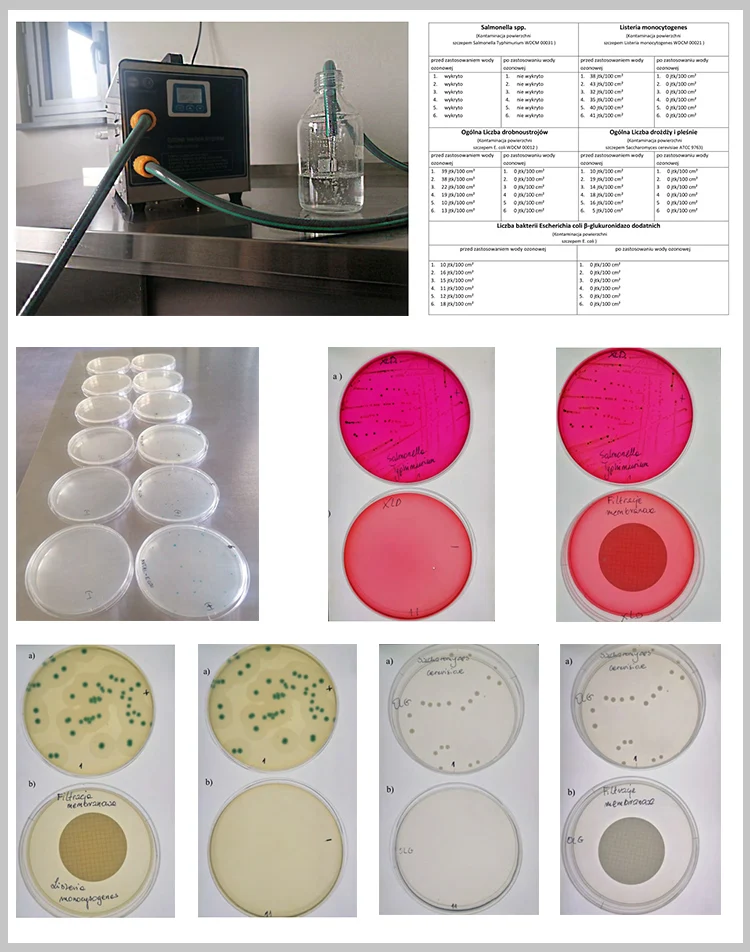 Spa Ozone Water Generator Laundry Ozone Generator House Ozone System