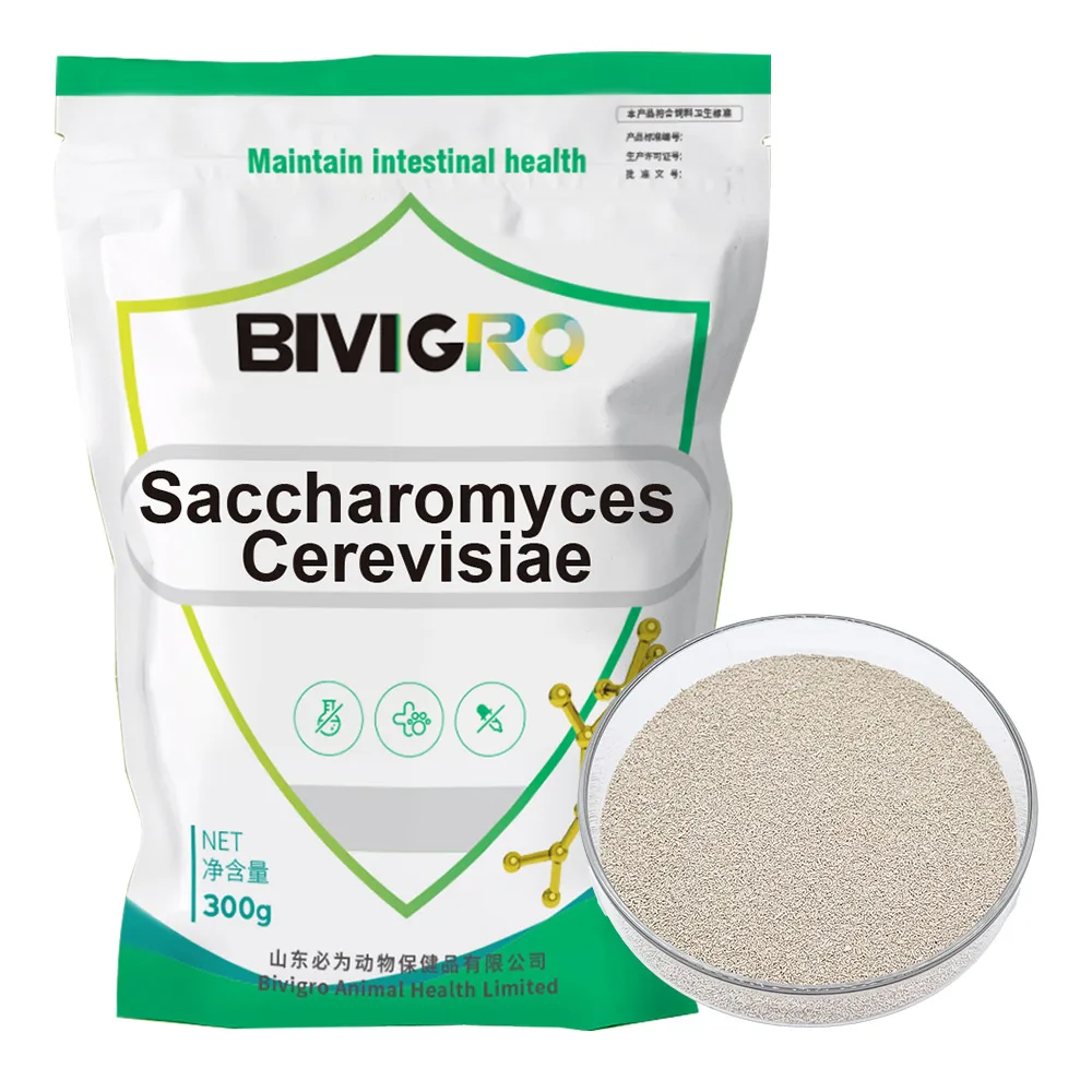 Animal Feed Digestive Enzymes Probiotics Supplier 200 Billion cfu/g Enhance Nutrition