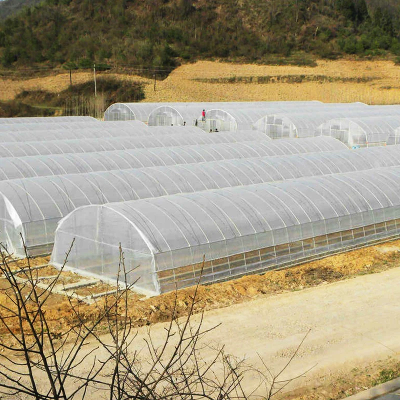 Plastic Film Covered Tunnel Greenhouse with Hot-dip galvanized Pipes for fastening Tomatoes and Melons Grow